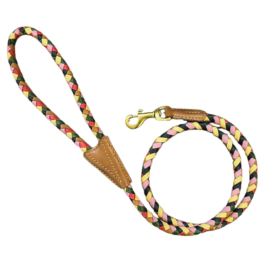 The Credence Lead by Georgie Paws is a braided dog leash in pink, yellow, black, and cream with tan buffalo leather at the handle and clasp, finished with a gold metal clasp. It comes coiled neatly for convenience.