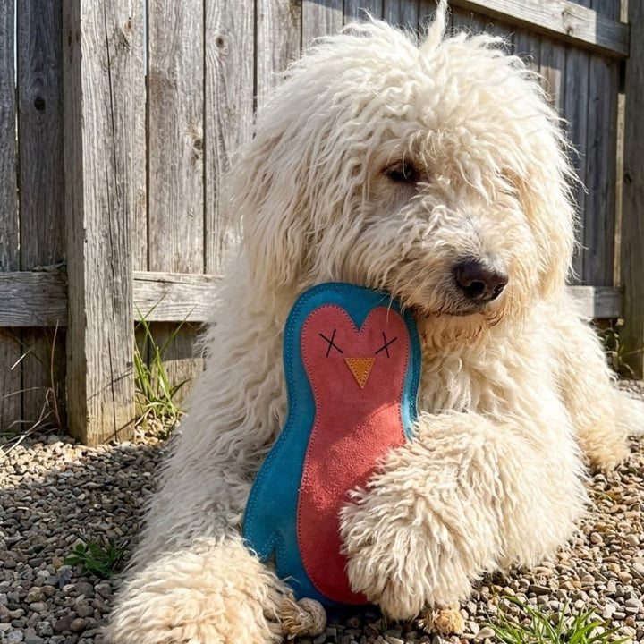 Fairy the Penguin Dog Toy - Georgie PawsFairy the Penguin Dog ToytoyGeorgie Paws