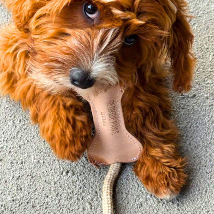 Flora Bone Toy - Natural - Georgie PawsFlora Bone Toy - NaturaltoyGeorgie Paws