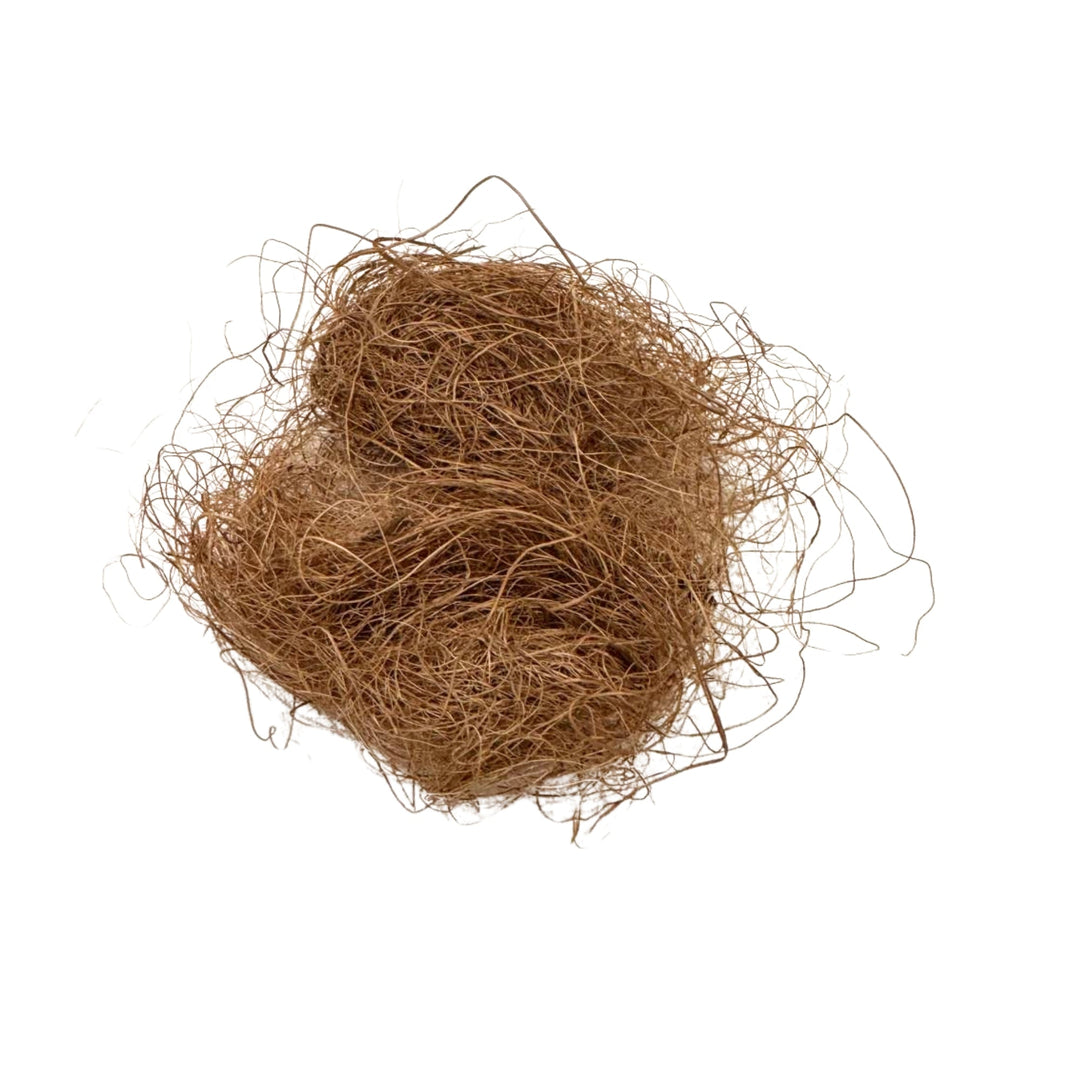 Another view of the Georgie Paws Ball Dog Toy in Grass