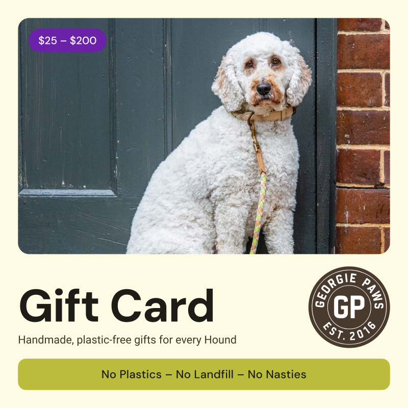 Georgie Paws Gift Card, $25 to $200. A fluffy white dog in a handmade leather collar and plaited lead sits on a doorstep. Plastic-free gifts for every Hound.