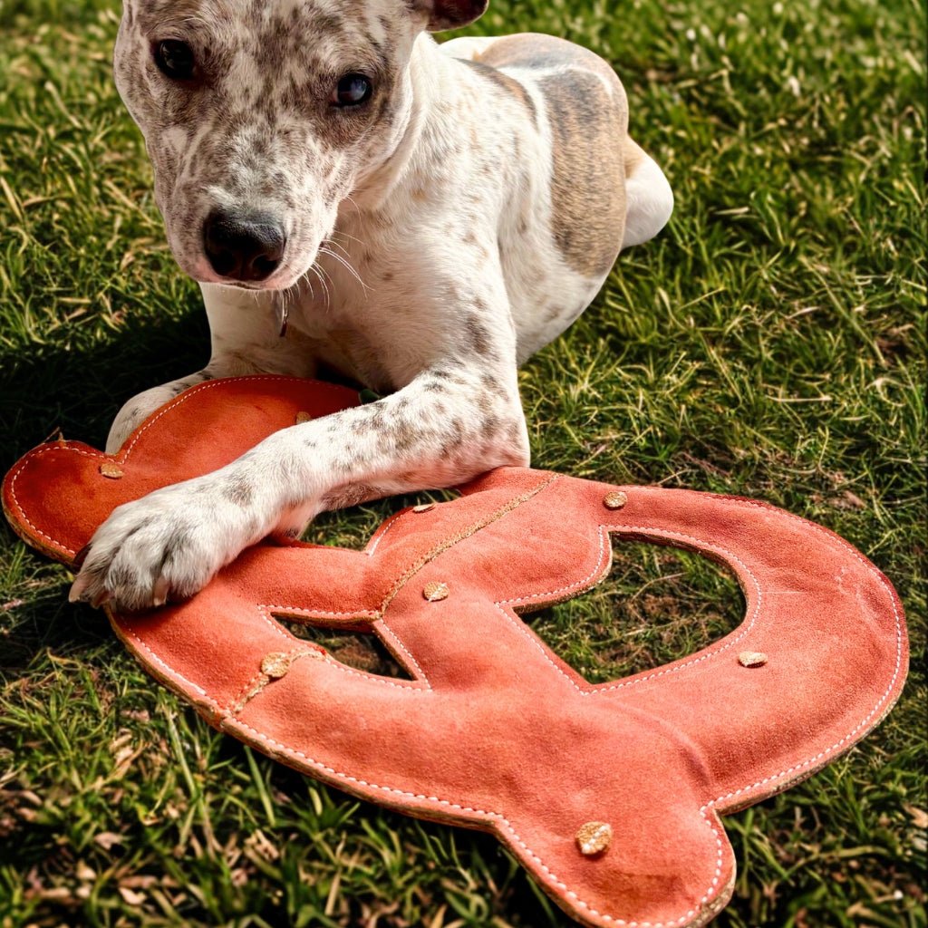 Giant Pretzel - Big Dog Toy - Georgie PawsGiant Pretzel - Big Dog ToytoyGeorgie Paws