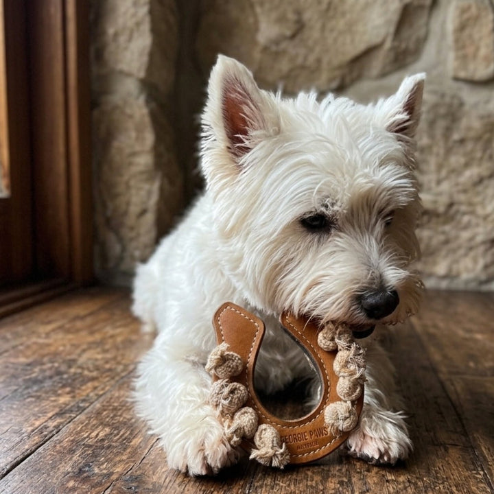 Horseshoe Dog Toy – Pink & Tan - Georgie PawsHorseshoe Dog Toy – Pink & TanDog ToyGeorgie Paws