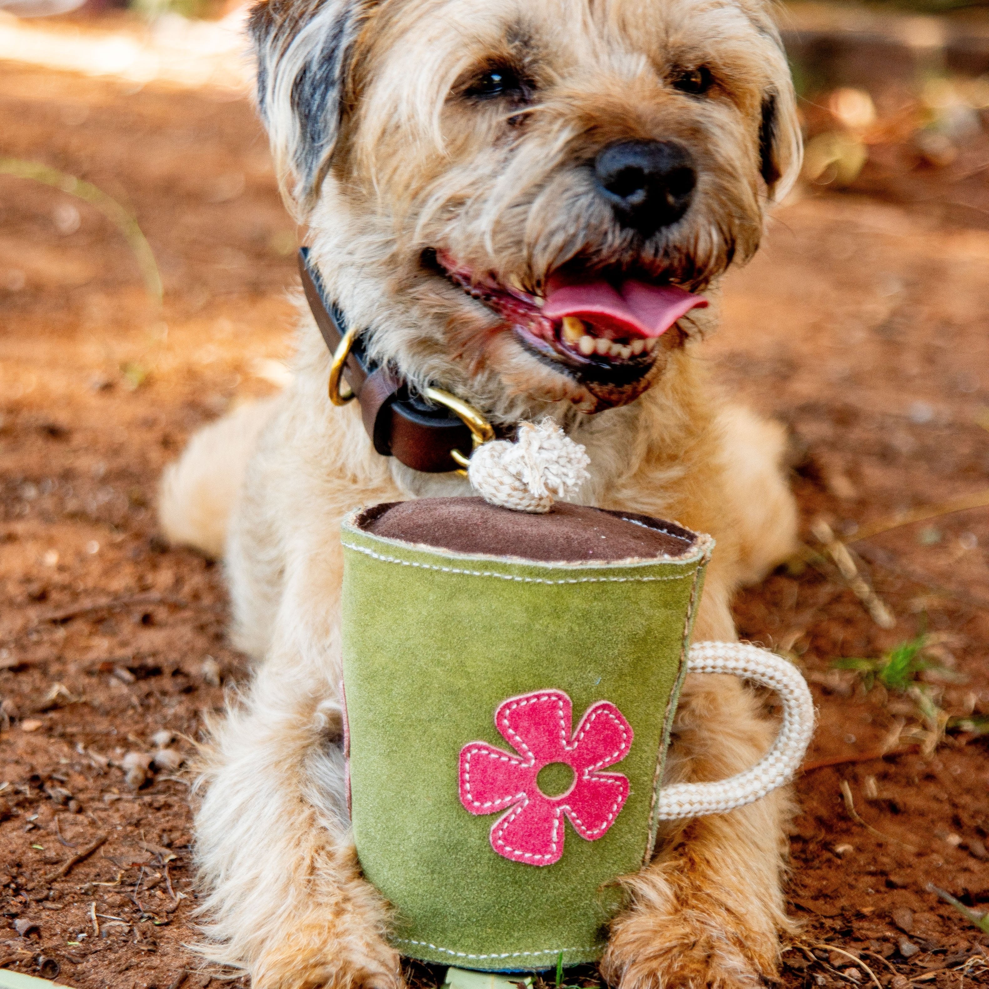 A fluffy brown dog with a dark collar lies on the ground, tongue playfully out, cradling Georgie Paws' Hotto Chocco Toy shaped like a green mug adorned with a pink flower and white string handle. The softly blurred earthy background resembles buffalo suede.