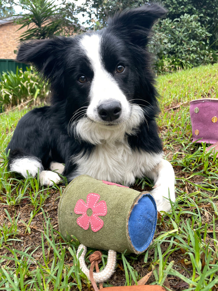 A black and white dog lies on green grass, looking at the camera. Its left paw holds a Georgie Paws Hotto Chocco Dog Toy with a pink flower, blue interior, and rope handle. Pink and purple toys rest nearby among bushes and trees.