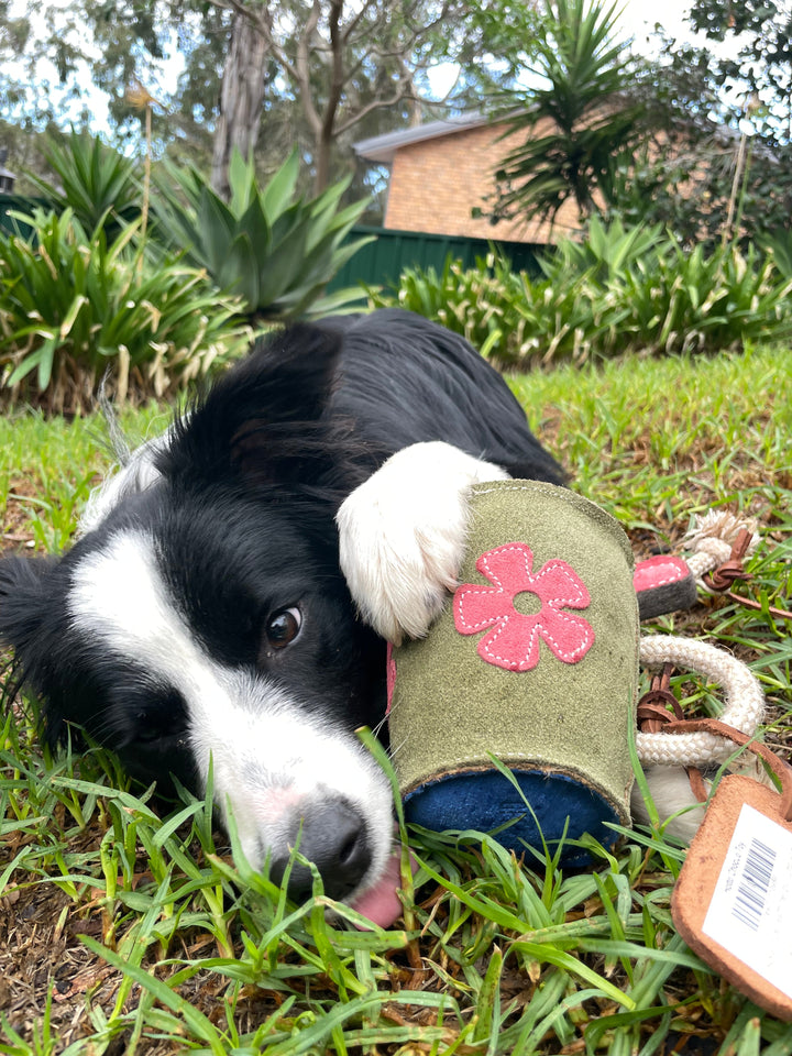 The Hotto Chocco Dog Toy by Georgie Paws shown with a dog, a handmade plush toy shaped like a mug of hot chocolate.