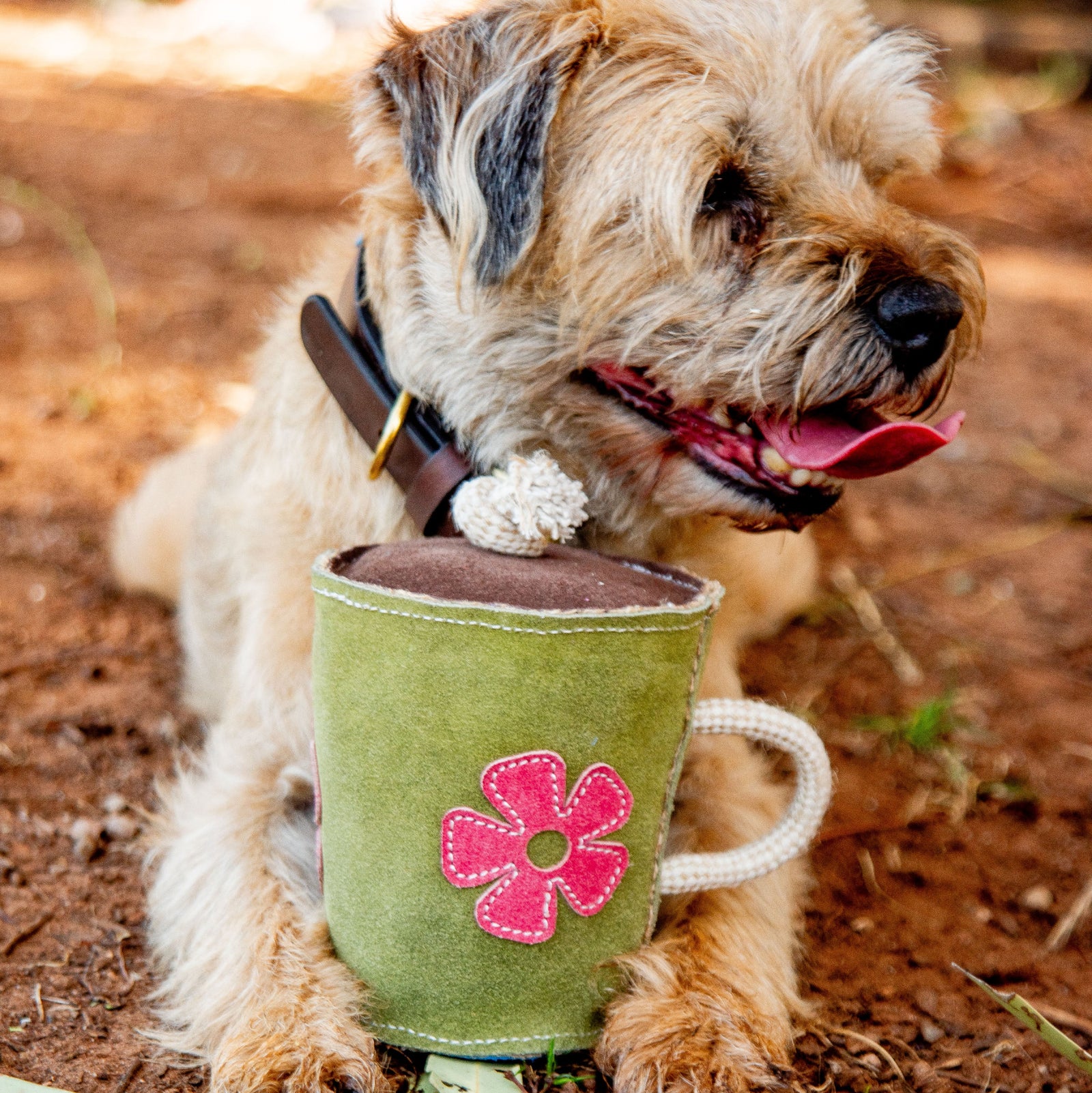 A small, scruffy brown dog with a black collar lies on reddish dirt, panting, and holds the Georgie Paws Hotto Chocco Dog Toy—a mug-shaped toy with a pink flower and loop handle—between its front paws.