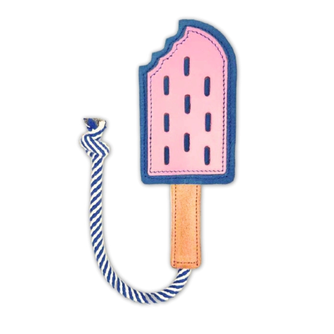 An intricately designed bookmark shaped like a whimsical navy Icy Pole for dogs with a blue outline, complete with a textured buffalo leather base and a charming blue and white striped tassel by Georgie Paws.