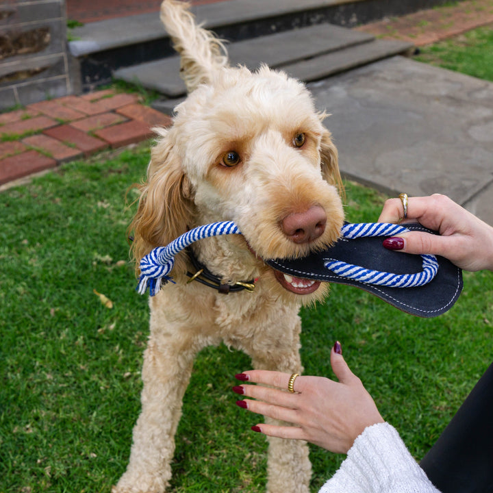 A studio photo of the Navy Chewy Jandal Teething Dog Toy by Georgie Paws, a handmade navy suede sandal-shaped chew toy.