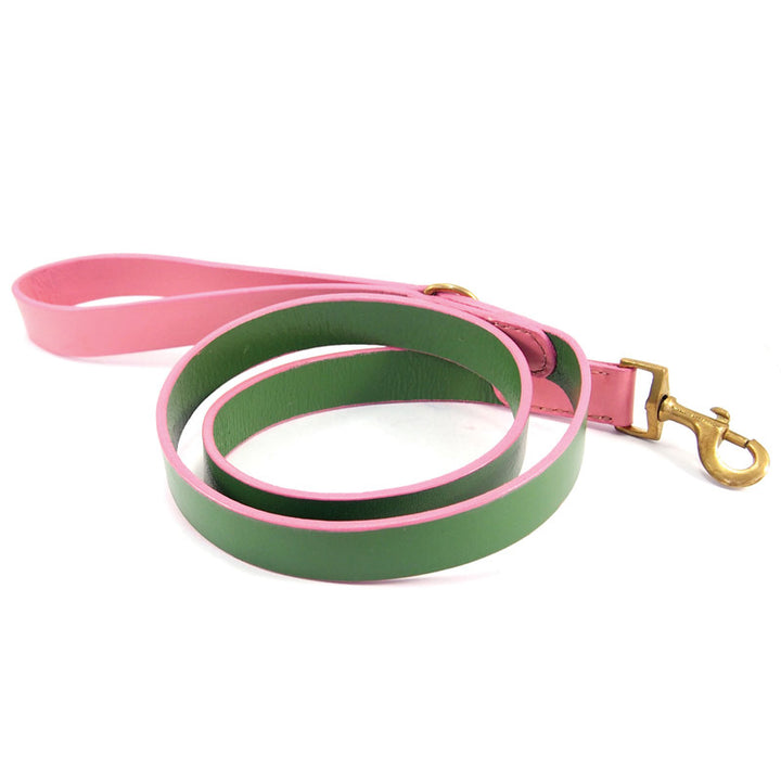 The Georgie Paws Green Dog Collar features a pink handle and inner edge, a green outer surface, and an antique brass clasp. It is neatly coiled with contrasting vibrant colors and the clasp lying flat at the end.