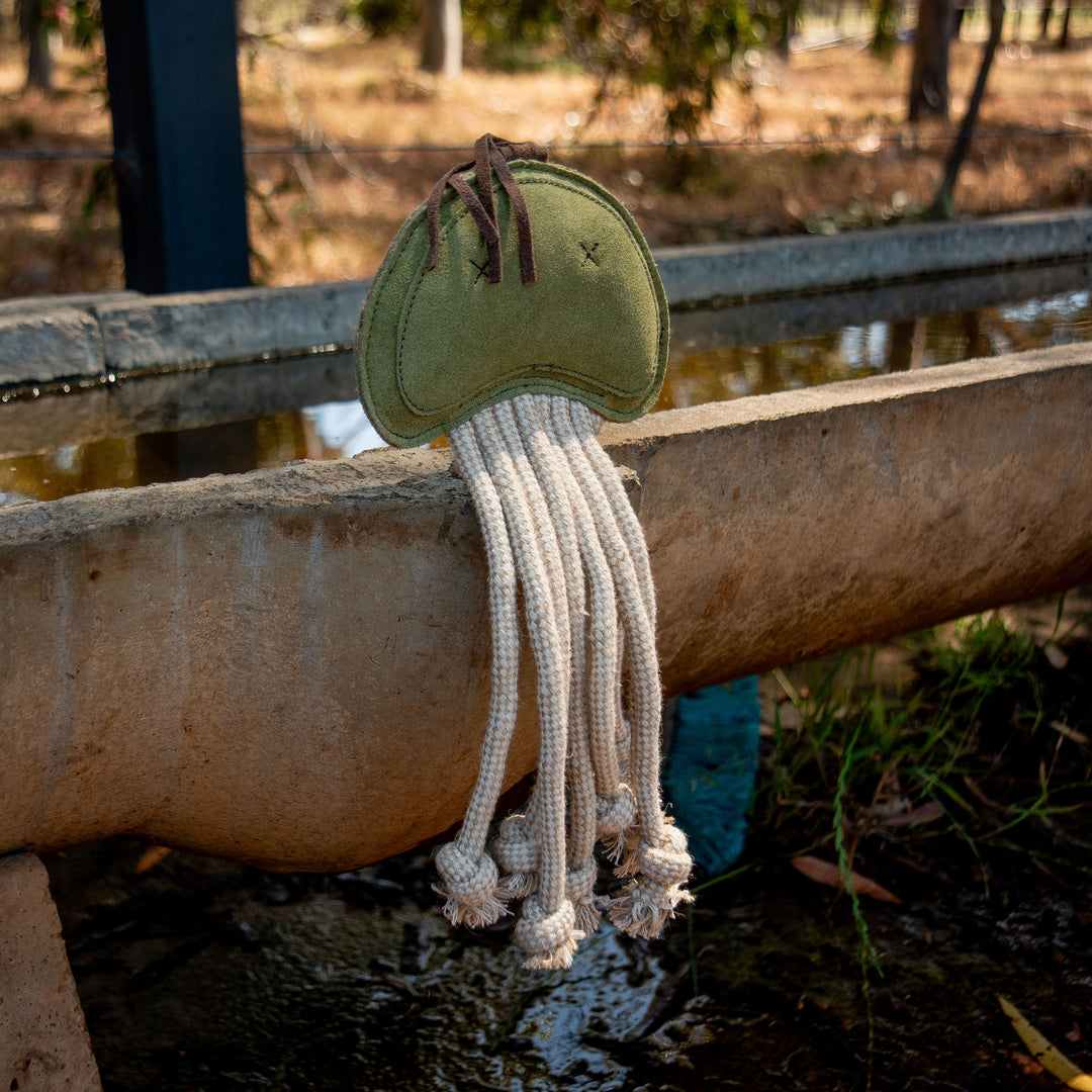 The Georgie Paws Joe Jellyfish Dog Toy - grass, an eco-friendly green toy with brown felt eyes and thick white cotton rope tentacles, sits on a weathered stone trough outdoors among water and dry leaves.