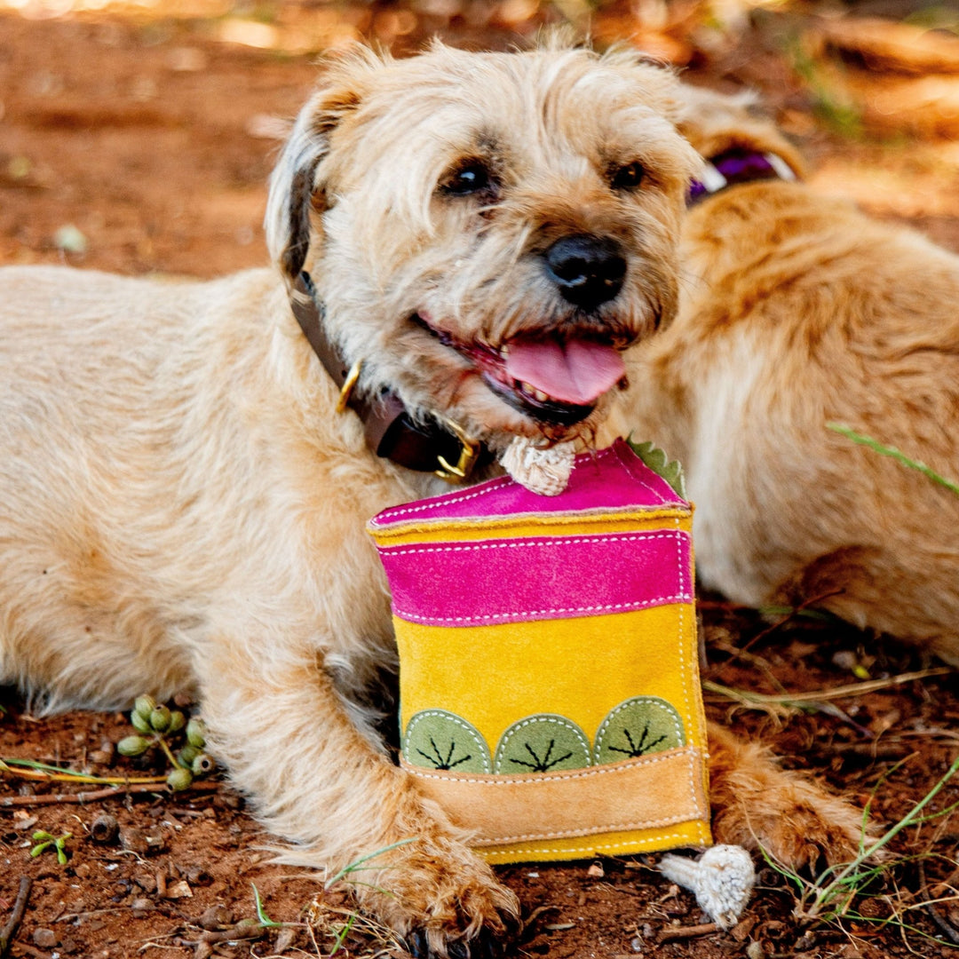 A small tan dog with a dark collar lies on the dirt, facing forward with its tongue out. Its paw rests on the Kiwi Sponge Cake Dog Toy by Georgie Paws—an accessory in vibrant yellow, magenta, and green with leaf designs, crafted from vegetable tanned buffalo leather. Another dog is partially visible beside it in the bright outdoor lighting.