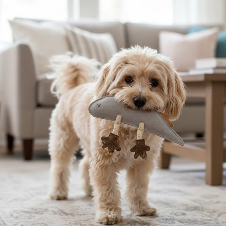 A fluffy tan dog stands on a patterned rug in a cozy living room, holding the Georgie Paws Larry Lizard - Blue handmade plush toy in its mouth. In the background, there’s a sofa with pillows and a wooden table stacked with books.