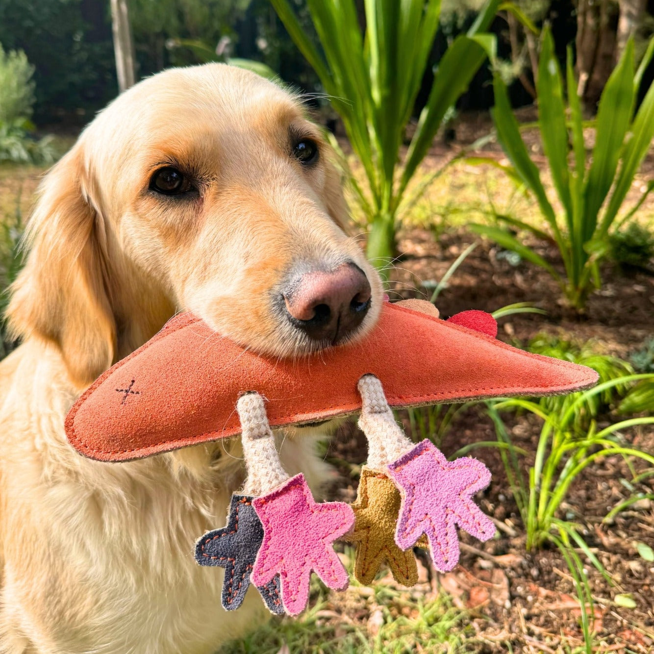 A golden retriever stands outdoors holding an eco-friendly Georgie Paws Larry Lizard in rainbow hues in its mouth. The toy features three small, star-shaped attachments in pink, white, and yellow dangling from the bottom. The background shows green plants and a garden, indicating a natural setting.