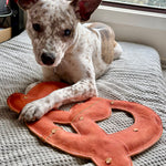 A white and brown spotted dog lounges on a gray blanket by the window, resting a paw on the Georgie Paws Giant Pretzel - Big Dog Toy, looking at the camera as sunlight shines behind.