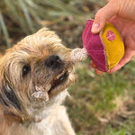 A small shaggy dog playfully pulls Maisy the Mushroom Toy - gold by Georgie Paws using a cotton tug rope held by a person, with visible teeth and focused eyes. In the blurred outdoor greenery, this toy made with sustainable buffalo suede enhances every joyful tugging moment.