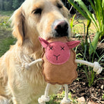 A golden retriever stands outdoors with greenery in the background, holding a cute and sustainable chew toy from Georgie Paws named "Mary the Lamb - natural" in its mouth. The toy features X-shaped eyes, a pink face, and rope legs and arms.