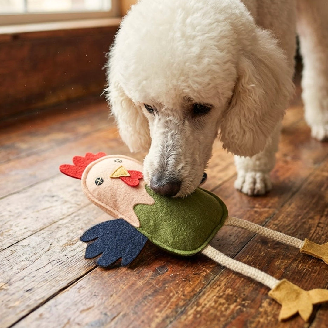 Matilda the Chicken - Red - Georgie PawsMatilda the Chicken - RedtoyGeorgie Paws