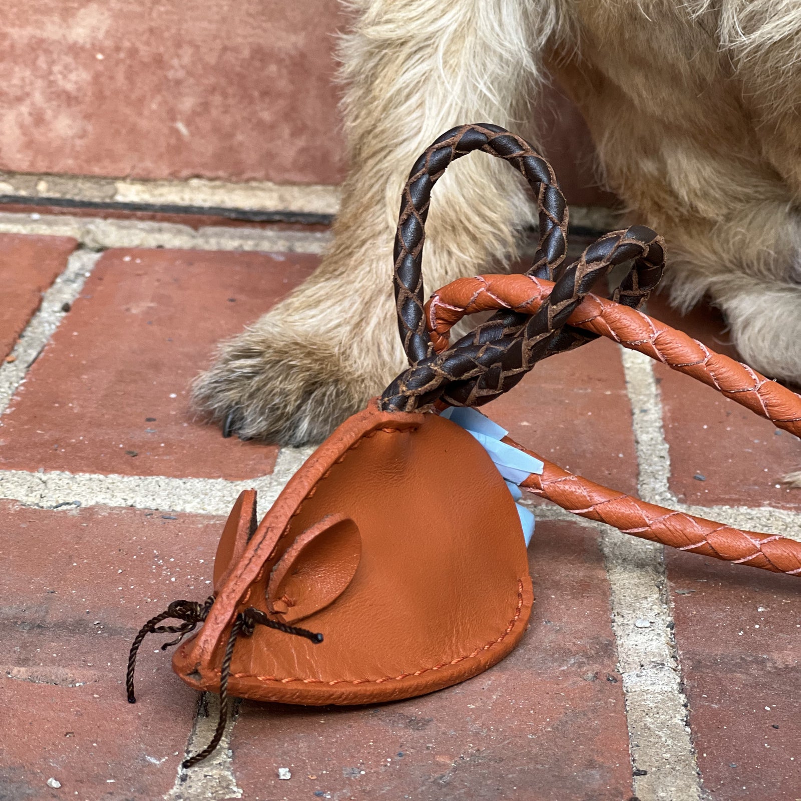 A close-up of a dog's paw on a red brick floor beside the Georgie Paws Mouse Poobag Dispenser - Ochre, crafted from buffalo leather with braided cords, stitched whiskers, oval ears, and featuring a small blue tag.
