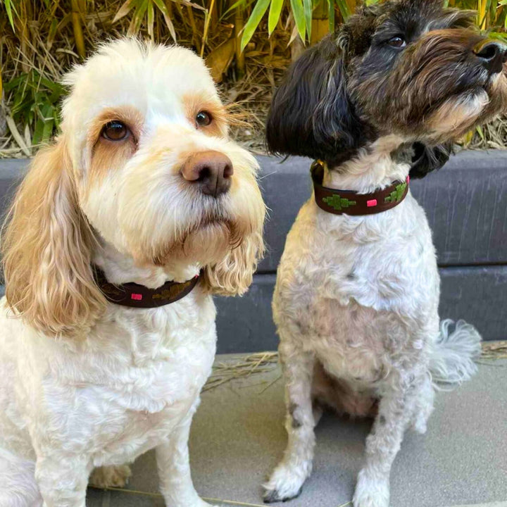 Georgie Paws Polo Dog Collars in Myrtle and Mage, handmade buffalo leather with coloured geometric stitching