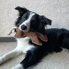Another view of the Patsy the Pony Dog Toy by Georgie Paws