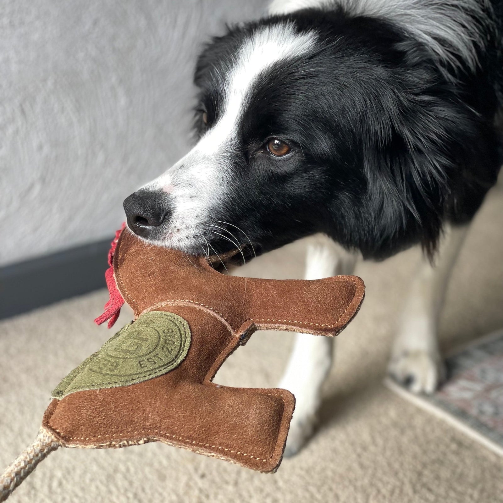 Patsy the Pony Dog Toy - Georgie PawsPatsy the Pony Dog ToytoyGeorgie Paws