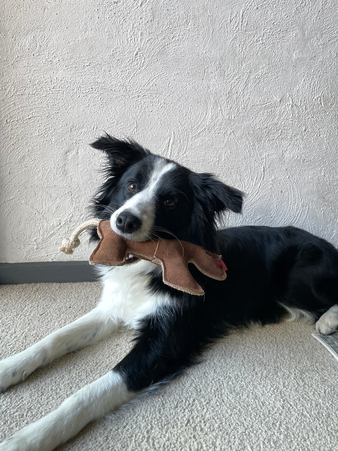 A close-up of Patsy the Pony Dog Toy by Georgie Paws, showing the coconut-fibre filling and stitching on this tan suede pony-shaped toy.