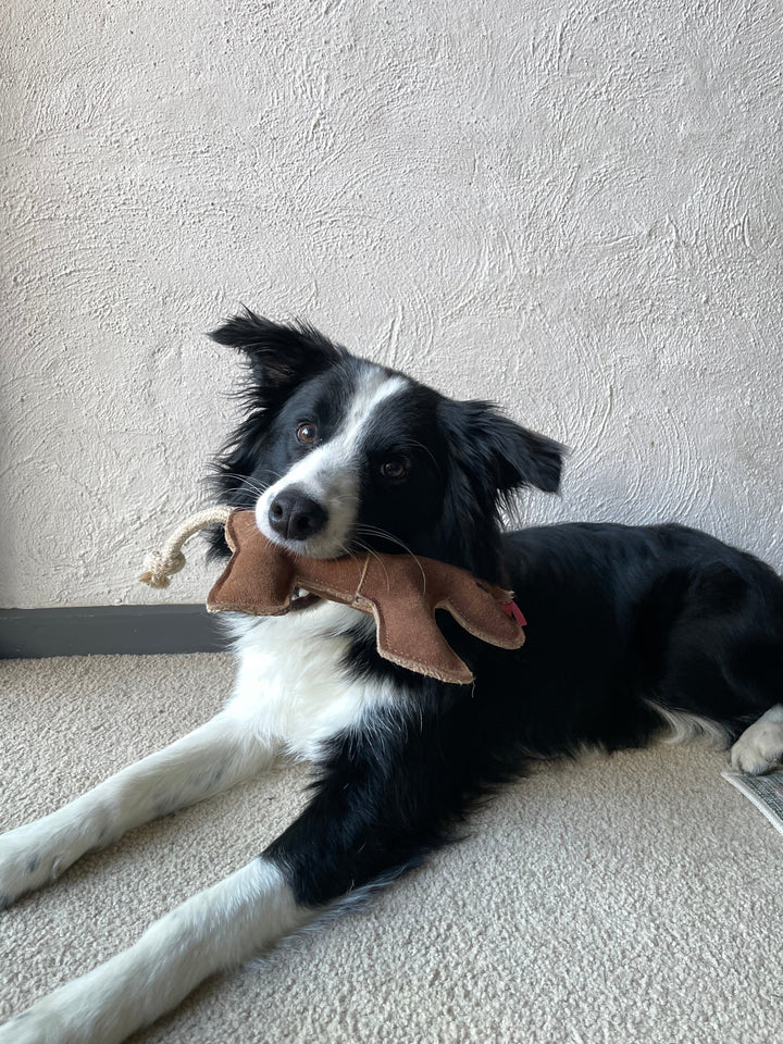 A close-up of Patsy the Pony Dog Toy by Georgie Paws, showing the coconut-fibre filling and stitching on this tan suede pony-shaped toy.