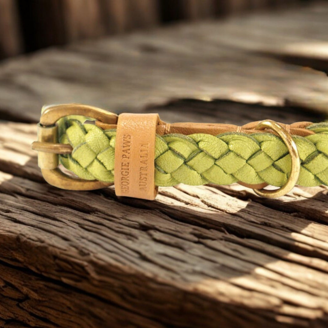 A close-up of the Georgie Paws Windsor Collar - Pear Green, featuring hand-plaited detail with a brass buckle and ring, lies on weathered wood. A tan leather tag embossed "GEORGIE PAWS AUSTRALIA" is looped near the buckle.