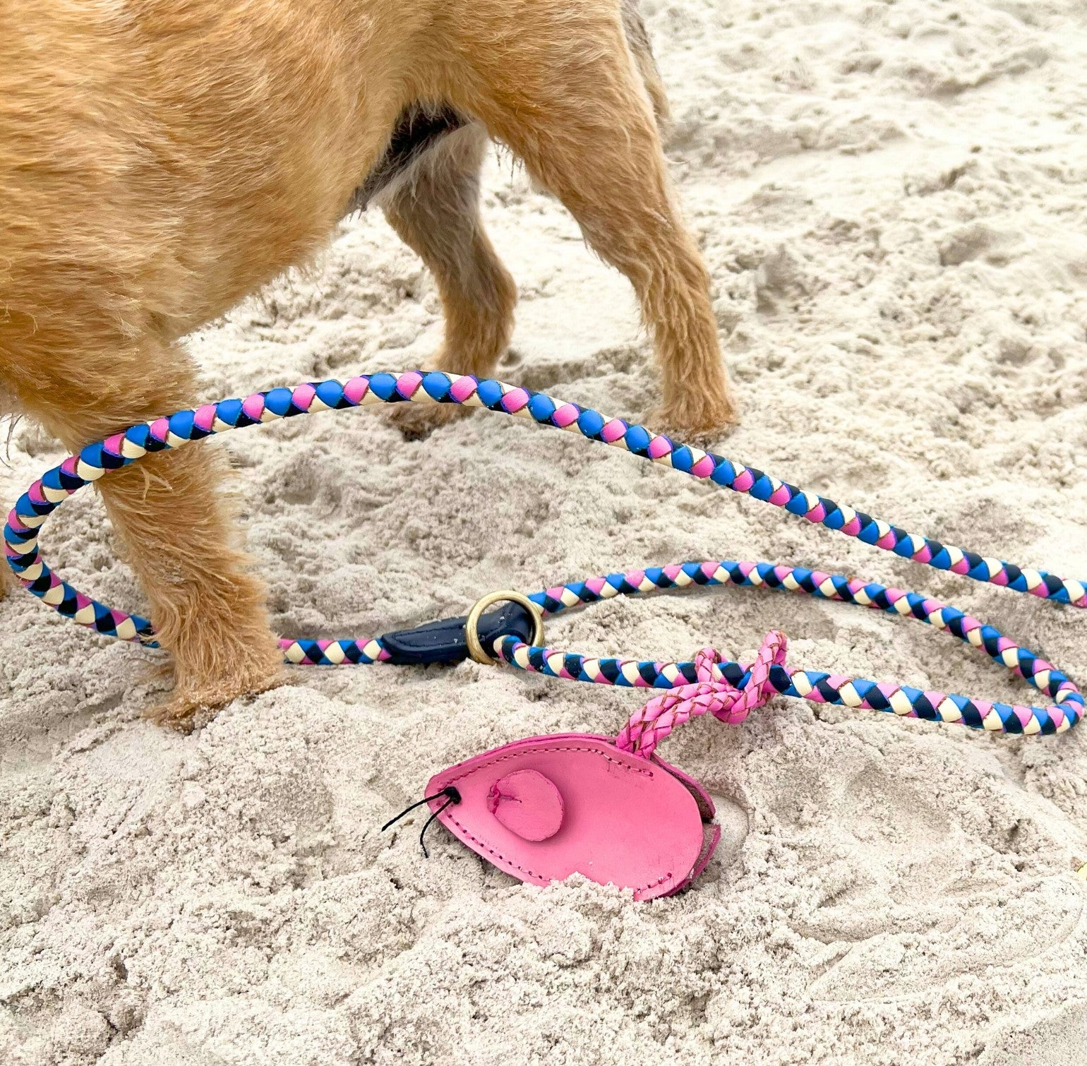 A dog's Georgie Paws pink Mouse Poobag Dispenser partially buried in the sand, with a buffalo leather collar attached and the animal partly visible, suggesting a playful beach day with a pet enjoying some off-leash freedom.