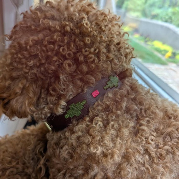 Another view of the Polo Dog Collar in Myrtle by Georgie Paws