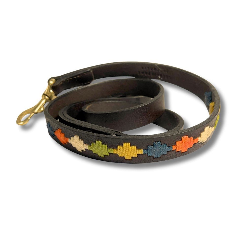 The Georgie Paws Polo Lead – Arvo is a rolled-up dark vegetable tanned buffalo leather dog leash adorned with colorful embroidered geometric patterns in orange, green, light blue, navy, yellow, and white along its length. It features a brass clasp and is displayed against a plain white background.