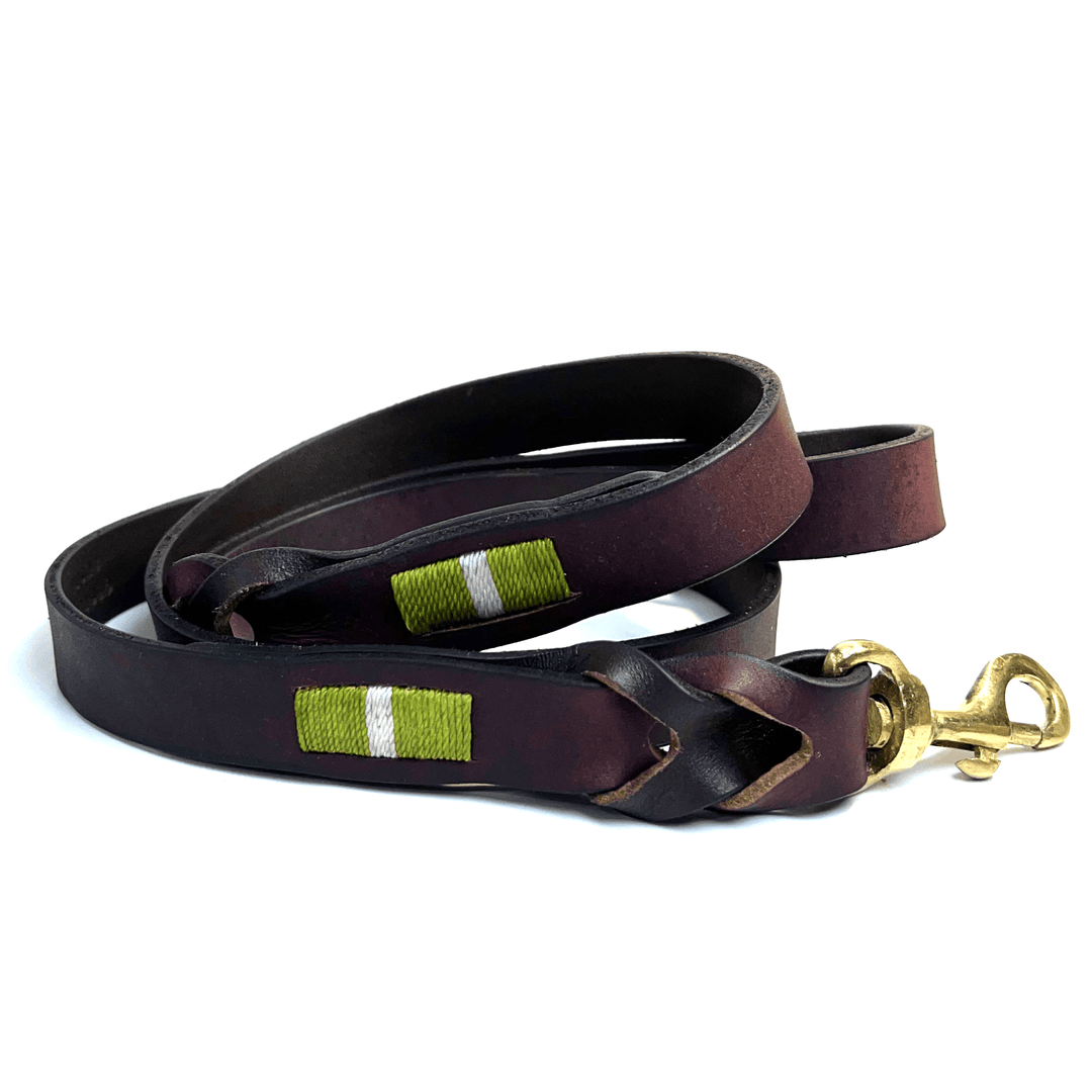 The Georgie Paws Polo Lead Locker - Mantis Green is a handmade dark brown leather dog leash with a brass clasp, adorned with two green and white stitched fabric accents. The leash is coiled in a loose spiral, featuring one end looped and the clasp resting on a white background.