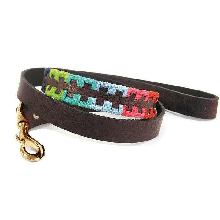 Introducing the Polo Lead - Reg by Georgie Paws: a brown, vegetable-tanned buffalo leather dog leash, crafted entirely without plastic and finished with a sturdy brass clip. This leash showcases decorative blue, green, and red stitching woven along one section, adding a vibrant touch to the rich natural leather. Coiled in a relaxed loop for display, it combines classic craftsmanship with colorful flair.