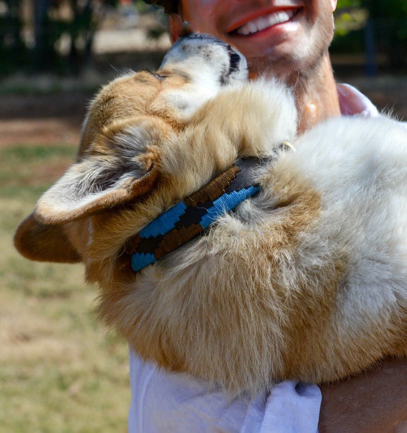 A person smiles while hugging a fluffy corgi outdoors, who is wearing the Georgie Paws Polo Lead - Stubble, featuring a natural blue and brown pattern. The dog's face is nuzzled up near the person's chin, and both appear happy. The background is blurred with greenery and sunlight.