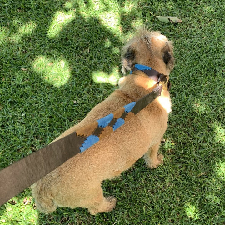 Chocolate brown dog wearing the Georgie Paws Stubble Polo Lead outdoors in a garden, buffalo leather lead with blue and brown waxed thread and brass hardware visible