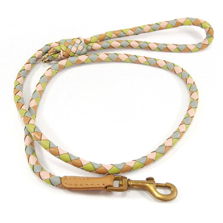Introducing the Racer Lead - Wilbur by Georgie Paws—a decorative, durable, and sustainable braided dog leash crafted in pastel shades of pink, green, tan, and blue. This leash is designed with a looped handle for comfort, features a gold metal clasp for secure attachment, and includes a vegetable-tanned buffalo leather accent near the clasp for added style and resilience.
