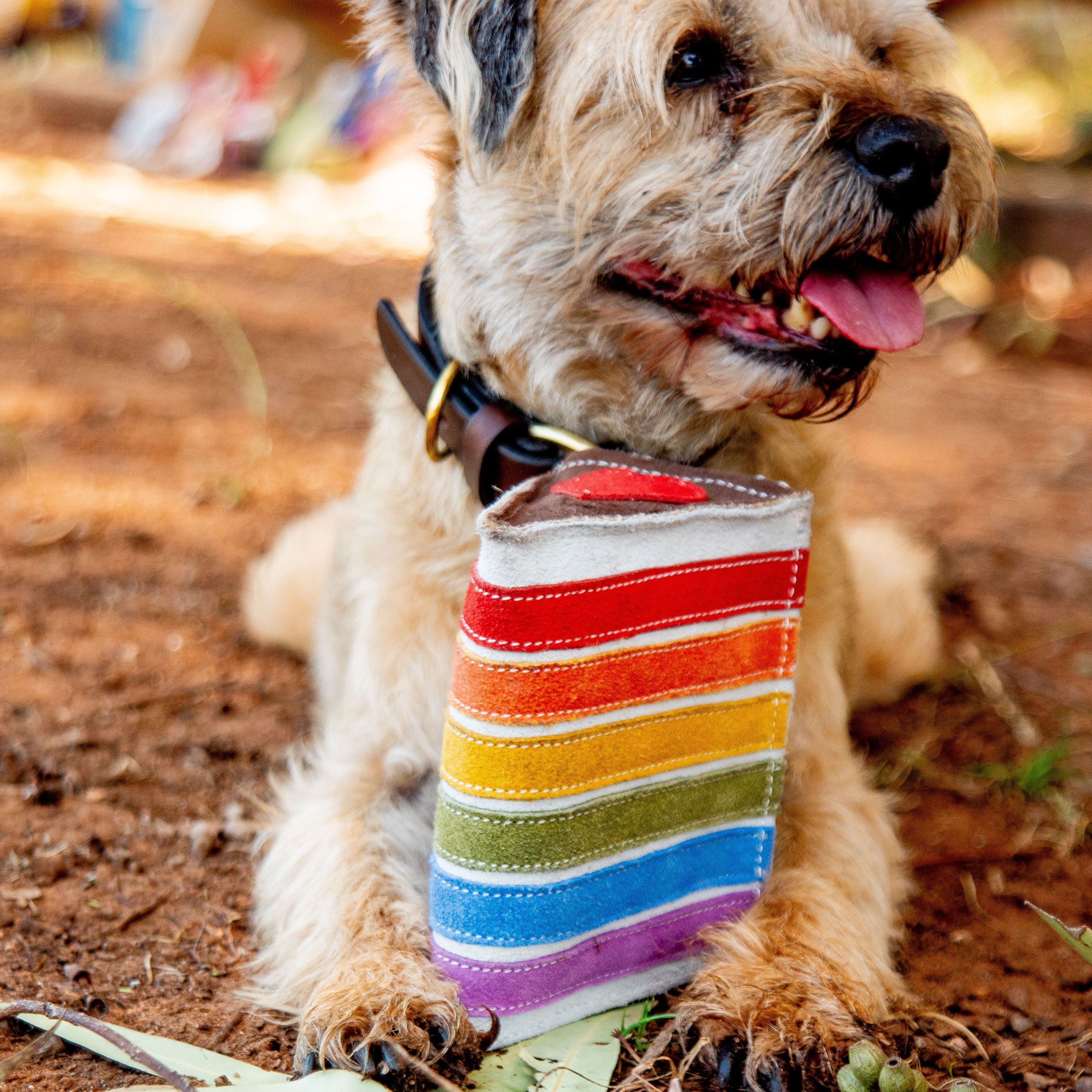 A scruffy, light brown dog lies on dirt, panting with its tongue out while wearing a collar and rainbow-striped tie. The dog chews on the Georgie Paws Rainbow Cake Dog Toy, which features horizontal bands of red, orange, yellow, green, blue and purple.