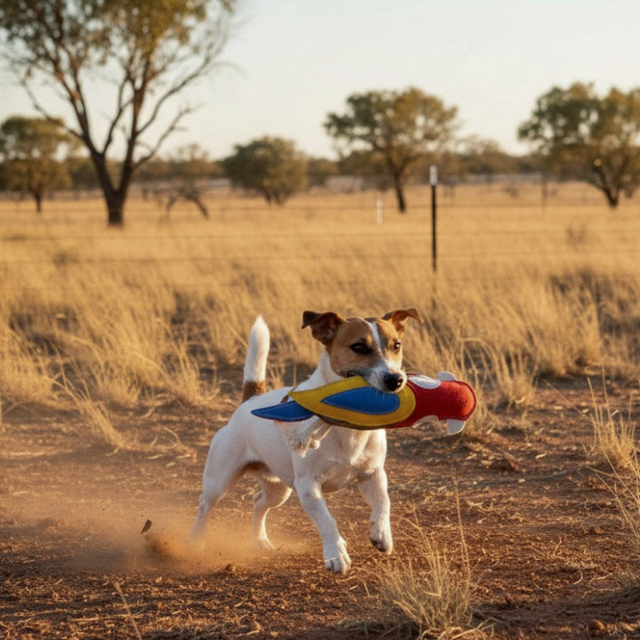 A small Jack Russell Terrier runs on dry, dusty ground with tufts of yellow grass, playfully carrying the colorful Georgie Paws "Rick the Rosella" dog toy in its mouth. Tall trees and a wire fence stand in the sunlit, rural background.