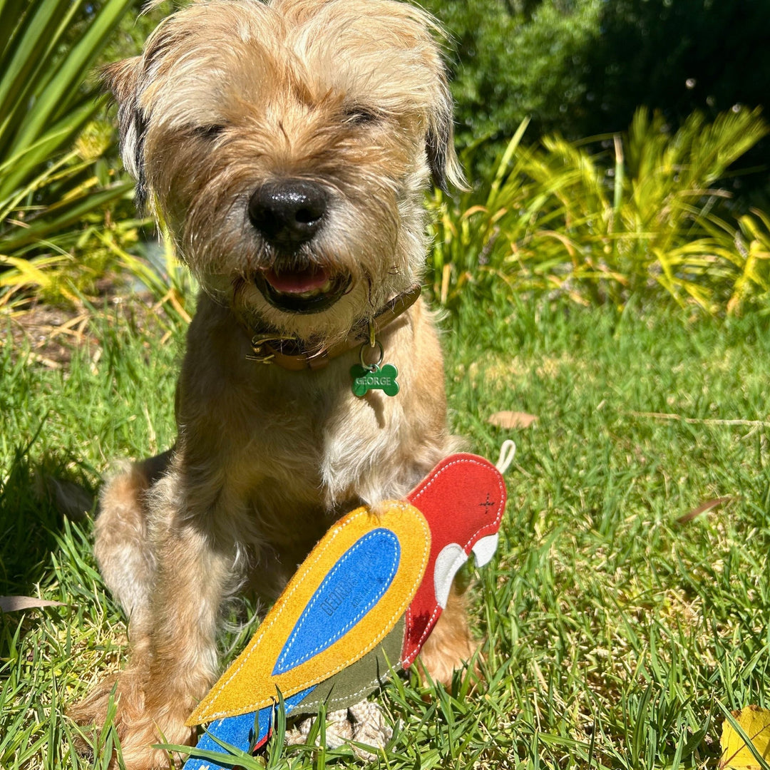 A small, scruffy tan dog sits on grass in the sunlight, squinting happily. It wears a collar with a green bone-shaped tag and holds the Georgie Paws "Rick the Rosella" dog toy—a handmade, colorful parrot-shaped toy—in its front paws. Lush green plants and leafy bushes fill the bright, natural background.