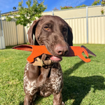 A brown dog with white speckles on its chest is sitting on green grass in a backyard. The dog is holding a Georgie Paws Murray Chew Toy - ochre in its mouth. The yard is fenced with beige panels, and there is a tree with green leaves in the background under a bright blue sky.