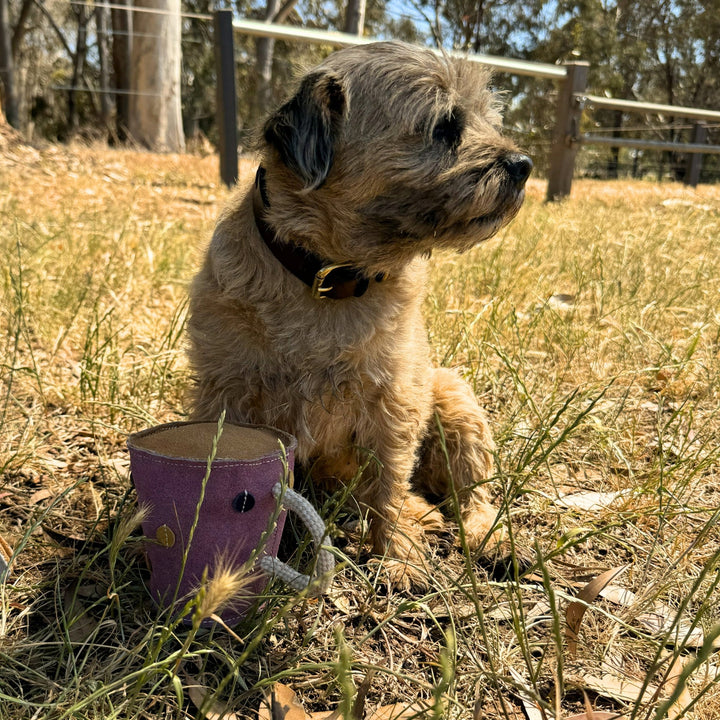 Tea in a Mug Dog Toy - Georgie PawsTea in a Mug Dog ToytoyGeorgie Paws