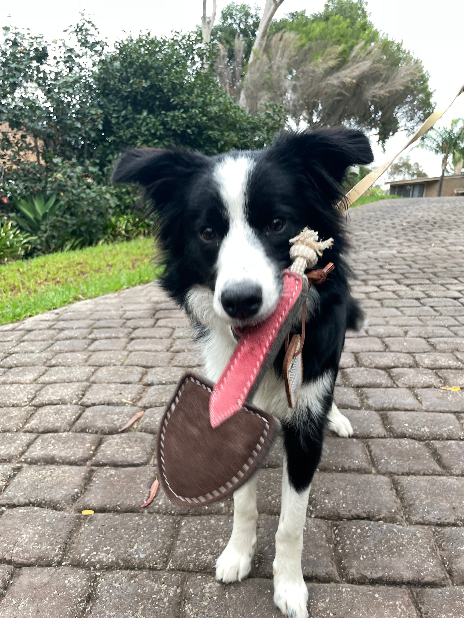 The Trusty Trowel Dog Toy by Georgie Paws shown with a dog, a garden-trowel-shaped plush toy with a pink handle and grey blade.