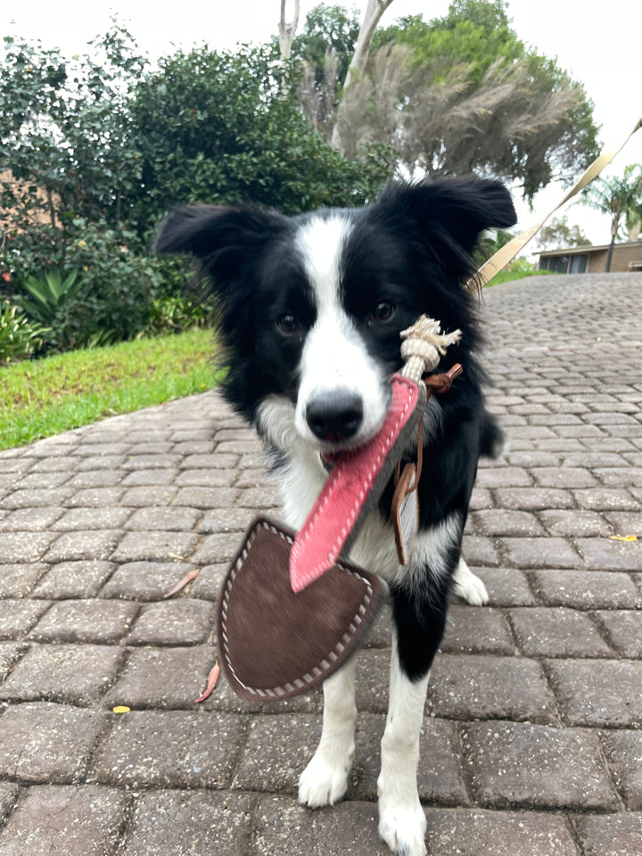 The Trusty Trowel Dog Toy by Georgie Paws shown with a dog, a garden-trowel-shaped plush toy with a pink handle and grey blade.