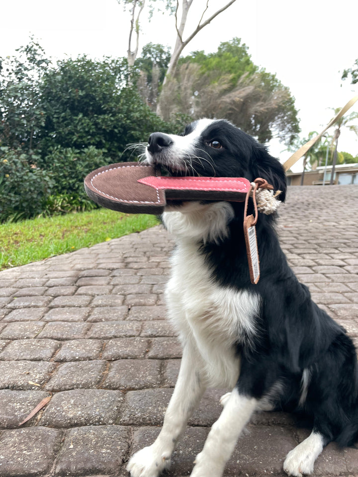 A second photo of the Trusty Trowel Dog Toy by Georgie Paws with a dog, showing the garden-trowel-shaped plush toy in use.