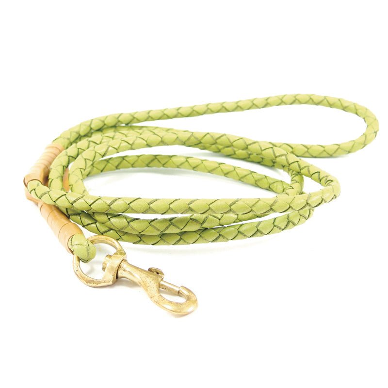 The Georgie Paws Windsor Lead - Pear, a handmade braided light green dog leash featuring a brass clip and a tan leather accent near the handle, is coiled neatly on a white background.