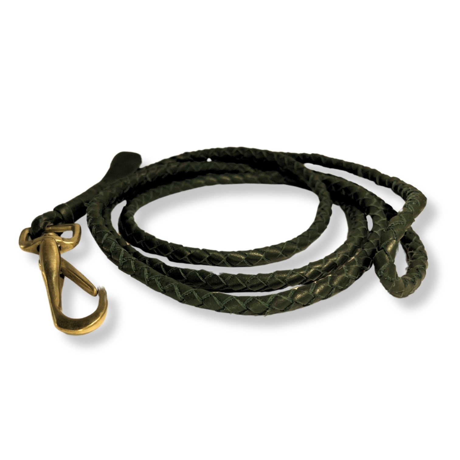 A coiled, green buffalo leather braid dog leash with a brass carabiner clasp, isolated on a white background, highlighting its elegant design and craftsmanship suitable for pet owners who prefer stylish accessories - Lulu Lead in chive by Georgie Paws