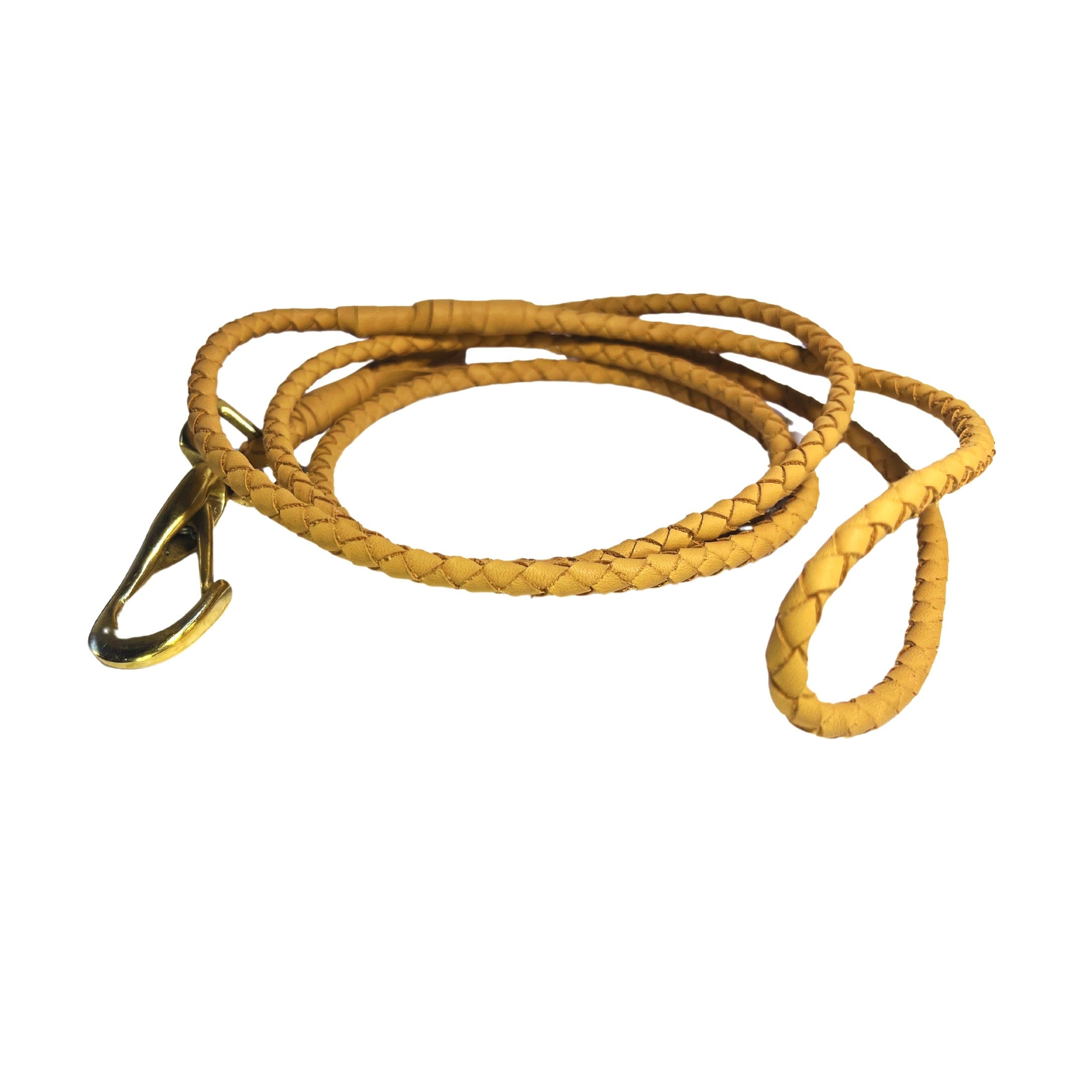 A coiled, braided golden-yellow Georgie Paws Lulu Lead - raw with a glossy brass carabiner clasp, isolated on a white background, possibly for small pet restraint.