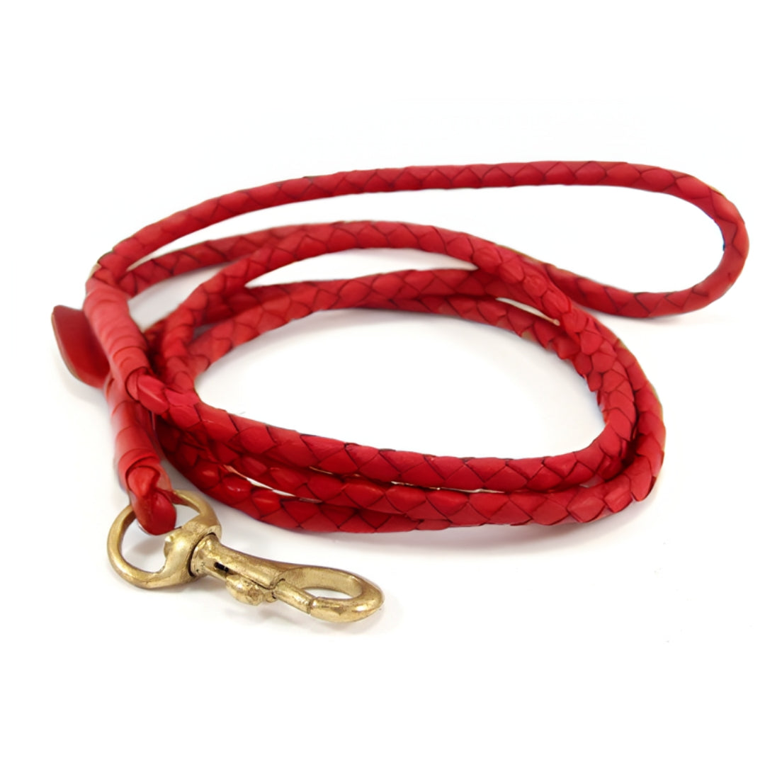 A coiled Georgie Paws Windsor Lead - red buffalo leather braided dog leash with a gold-colored metal clasp against a white background, suggesting an elegant accessory for walking pets.