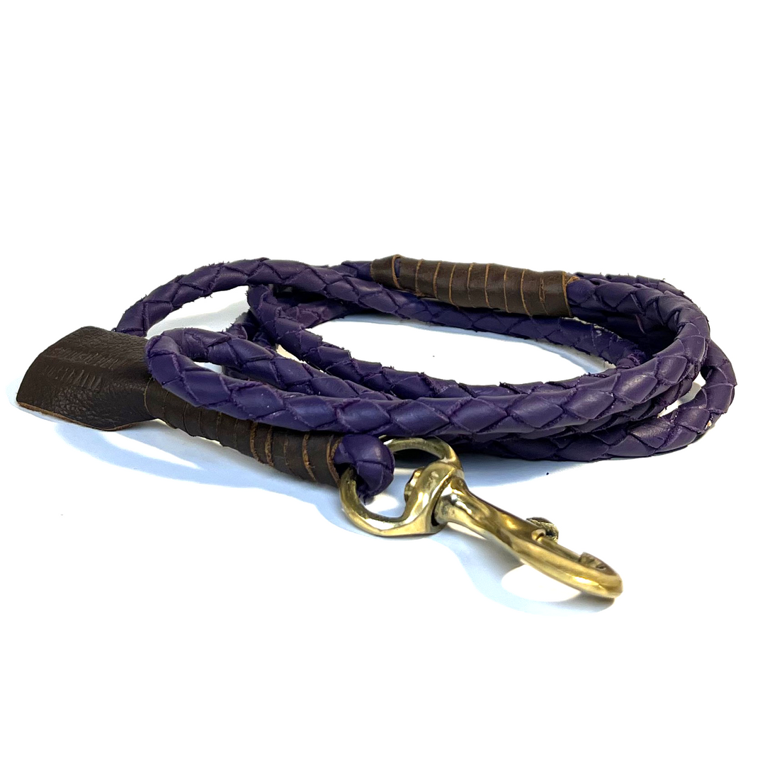 Windsor Lead - purple - Georgie Paws